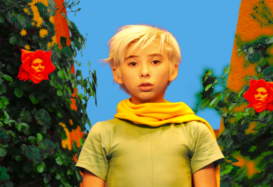 Petit Prince & Roses